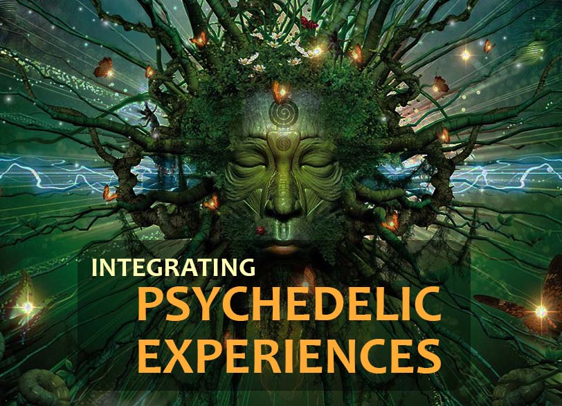 Integrating Psychedelic Experiences