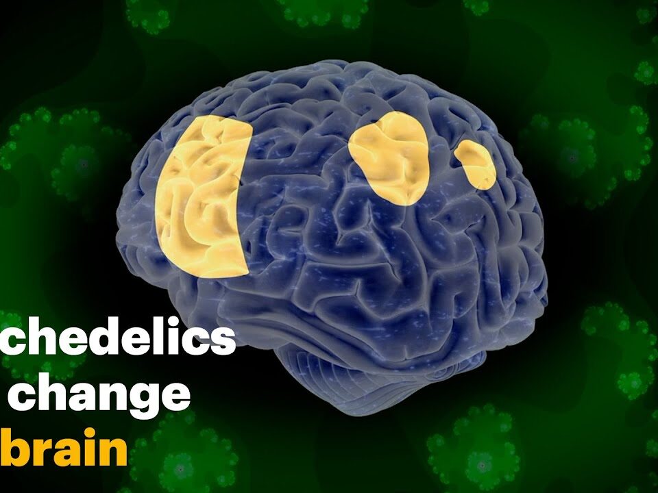 Psychedelics and Neuroplasticity