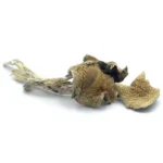 Buy Mexican Cubensis magic mushrooms